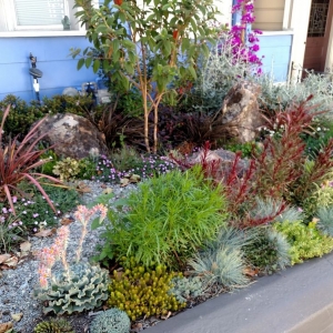San Francisco Livingstone Landscapes