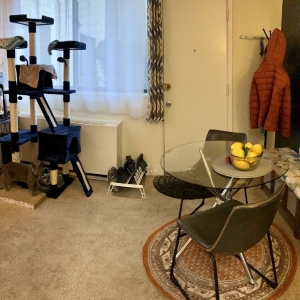 Photo of A Cleaning Services