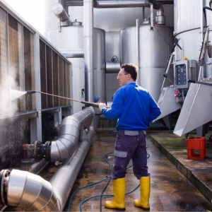 Photo of Washing Raccoons