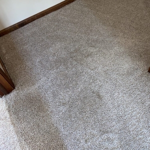 Indianapolis A Master's Touch Carpet Cleaning