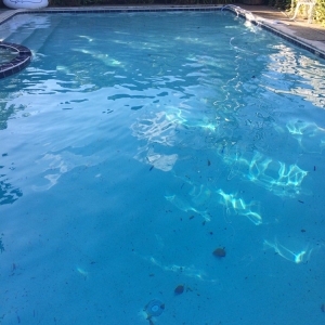 Photo of Supreme Swimming Pools Service & Repair