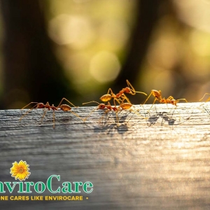 Photo of Envirocare
