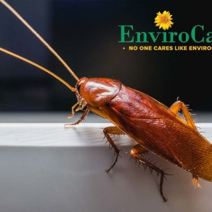 Photo of Envirocare