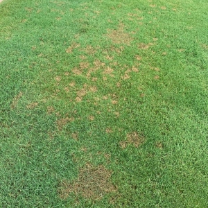 Photo of Envirocare
