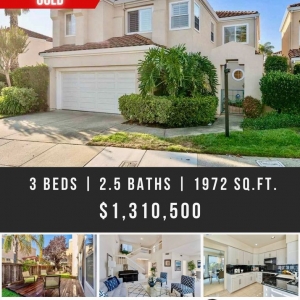 San Ramon Ted Chen - eXp Realty