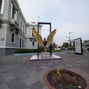 Photo of Musa Museo de las Artes