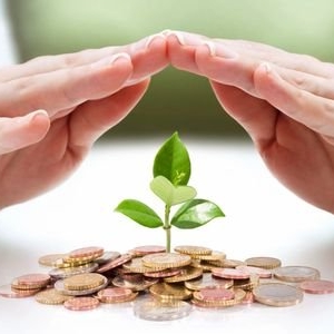 Photo of VestorCorp Financial