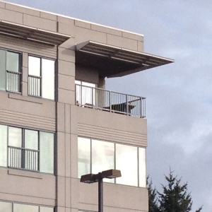 Vancouver Quality Window Washing