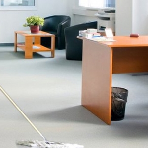 Photo of A Cleaning Queendom