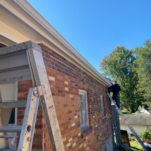 Photo of Great Dane Gutters and More
