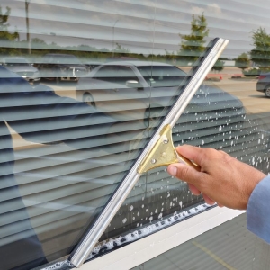 Photo of Pro Window Cleaning and Pressure Washing