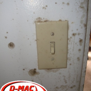 Photo of D-Mac Restoration