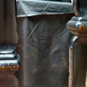 Photo of Scott Fence