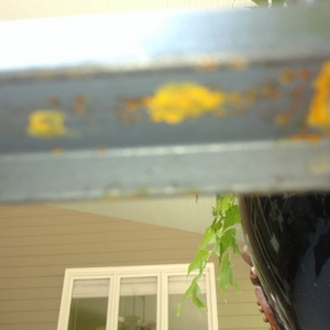 Photo of Scott Fence