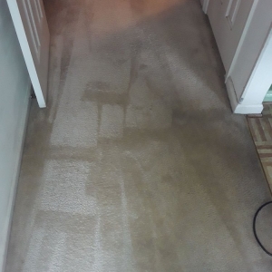 Photo of Mr. Top Shelf Cleaning