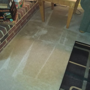 Photo of Mr. Top Shelf Cleaning