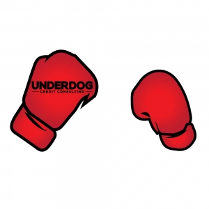 Photo of Underdog Credit Consulting