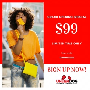 Photo of Underdog Credit Consulting