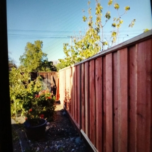 San Jose Lopez Gardening Services