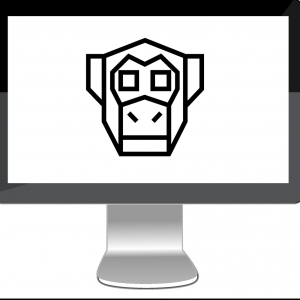 Photo of MonkeyTech