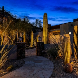 Photo of Michele Tyler - DeLex Realty Scottsdale