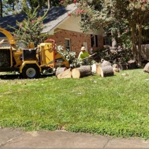 Chesapeake Deep Creek Tree Care