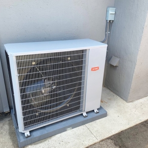 Photo of Fuse