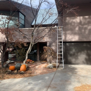 Photo of The Christmas Light Professionals