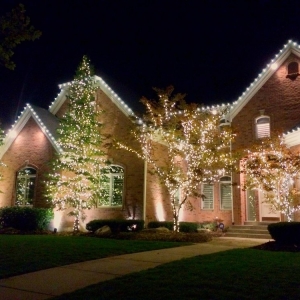 Photo of The Christmas Light Professionals