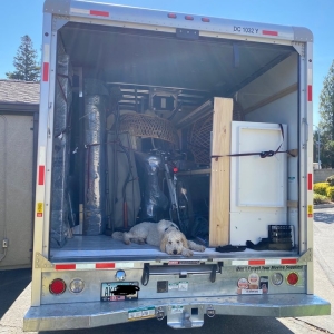 Photo of Grigsbys Movers