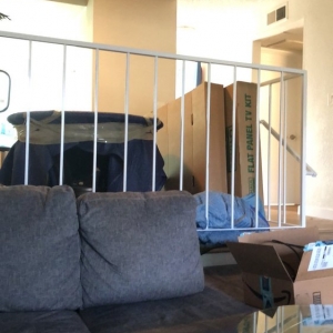 Photo of Grigsbys Movers