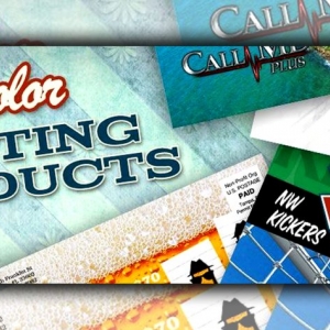 Photo of Insignia Prints and Design Services