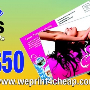 Photo of Insignia Prints and Design Services
