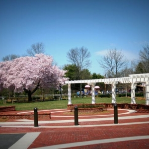 Photo of Stacy C Sherwood Community Center