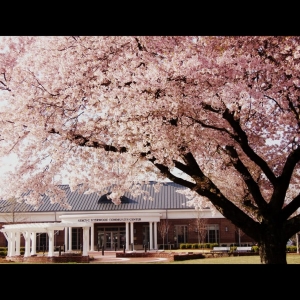 Photo of Stacy C Sherwood Community Center