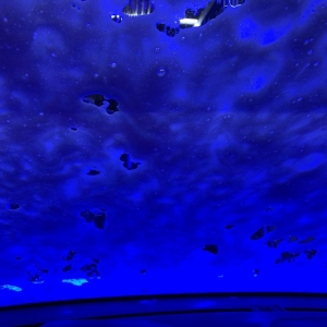 Photo of GO Car Wash - Metcalf