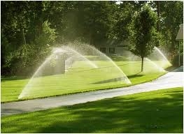 Photo of Evergreen Irrigation