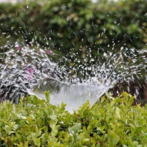 Photo of Evergreen Irrigation