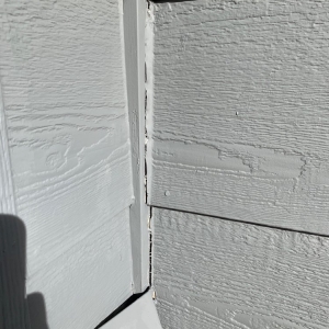 Photo of Boulder Valley Painters