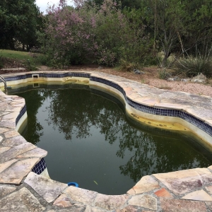 Photo of Splashy's Pool Service