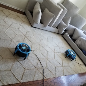 Photo of Pro Carpet Service and Constantin Service LLC