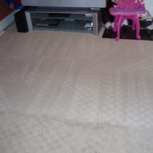Photo of Pro Carpet Service and Constantin Service LLC
