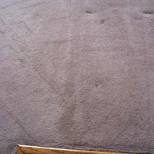 Photo of Pro Carpet Service and Constantin Service LLC