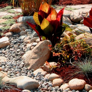 Photo of The Sculpted Earth