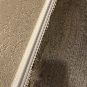 Photo of The Interior Edge