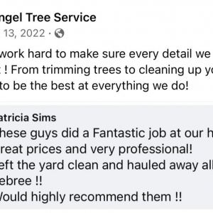 Photo of Rangel Tree Service