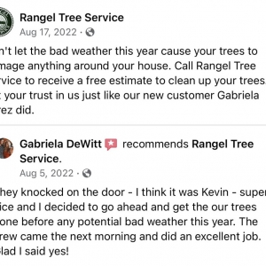 Photo of Rangel Tree Service