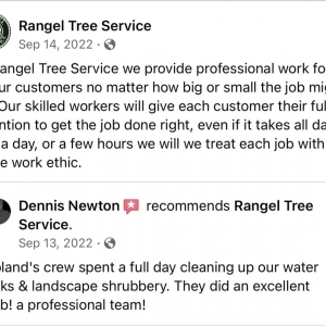 Photo of Rangel Tree Service