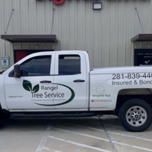 Photo of Rangel Tree Service