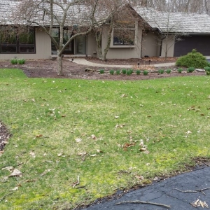 Photo of Mowing & More